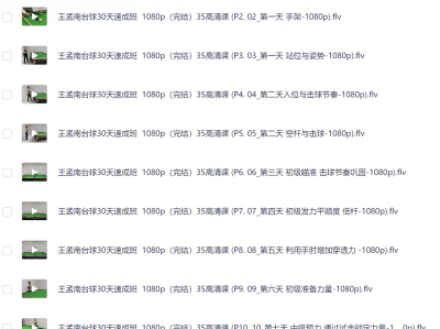 花了998买来的台球教程，正版高清视频教程